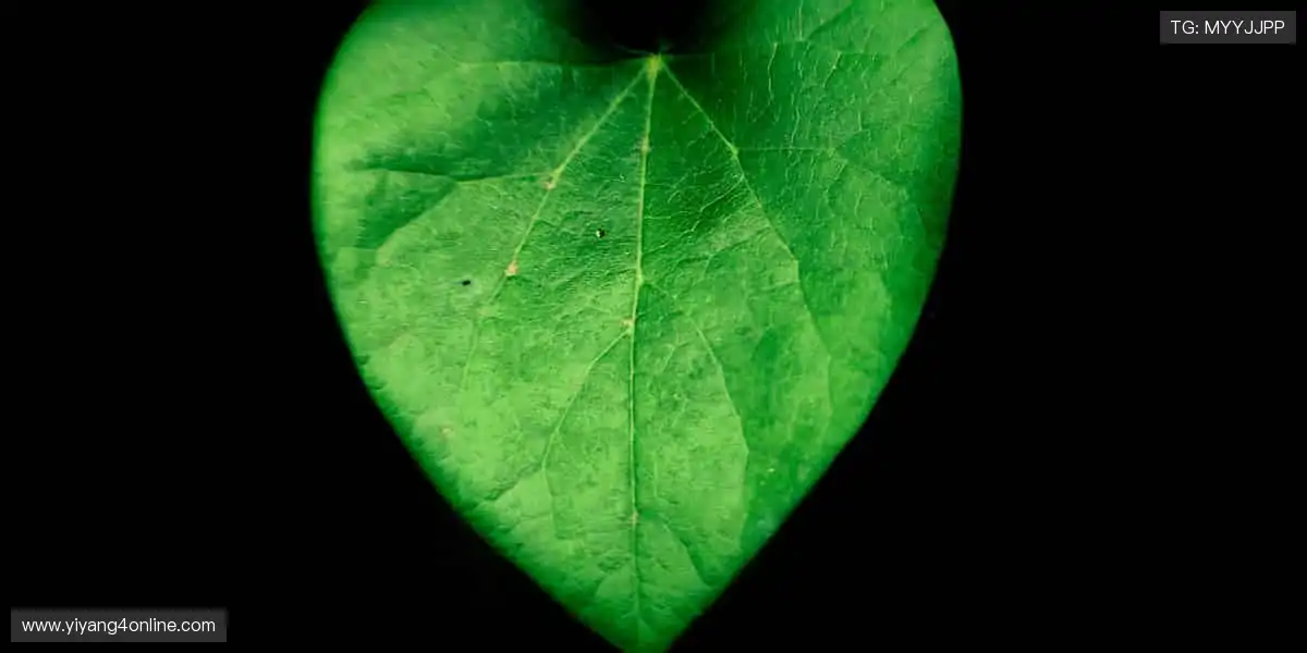 slider-1 Image
